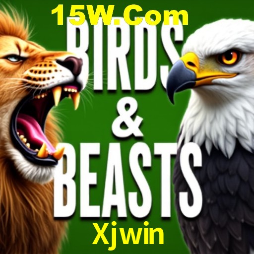 Apostas Esportivas na Xjwin: Um Guia Completo